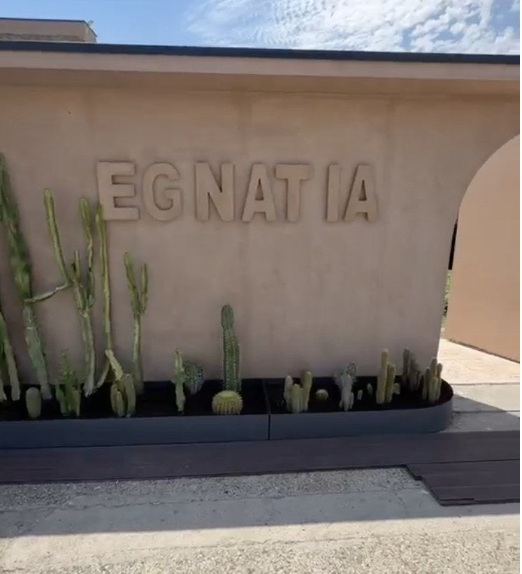 The cactus-lined entrance wall at Egnatia restaurant in Fier, Albania