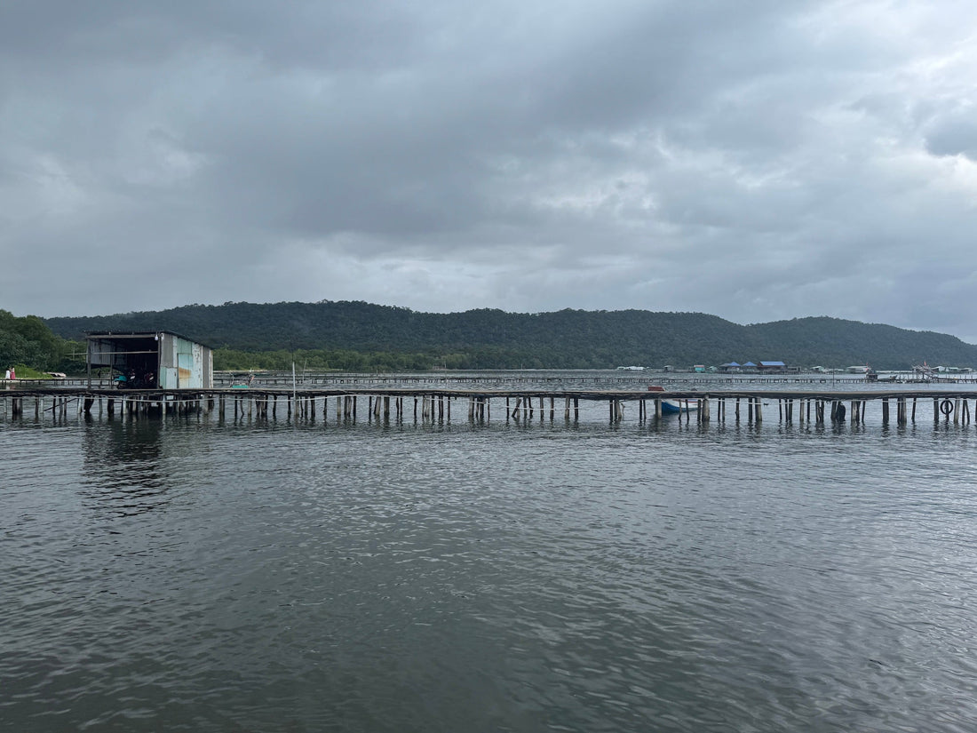 A long, weathered wooden dock stretches across calm water toward a small tin-roofed structure, surrounded by lush green hills under a cloudy gray sky at Starfish Beach in Phú Quốc, Vietnam.