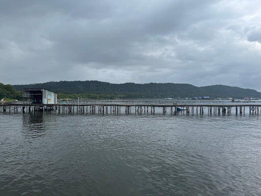 A long, weathered wooden dock stretches across calm water toward a small tin-roofed structure, surrounded by lush green hills under a cloudy gray sky at Starfish Beach in Phú Quốc, Vietnam.