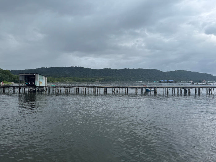 A long, weathered wooden dock stretches across calm water toward a small tin-roofed structure, surrounded by lush green hills under a cloudy gray sky at Starfish Beach in Phú Quốc, Vietnam.
