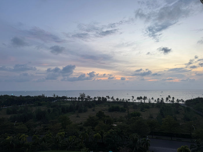 A soft, pastel sunset over Phú Quốc’s coastline, with palm trees lining the shore and boats scattered across the calm ocean. The sky glows with muted pinks and purples as evening settles over the island’s lush green landscape.